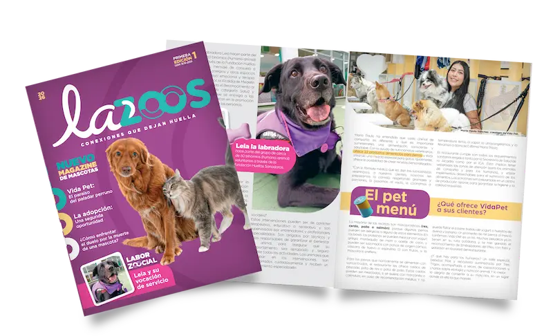 MONTAJE-REVISTA-edicion-01
