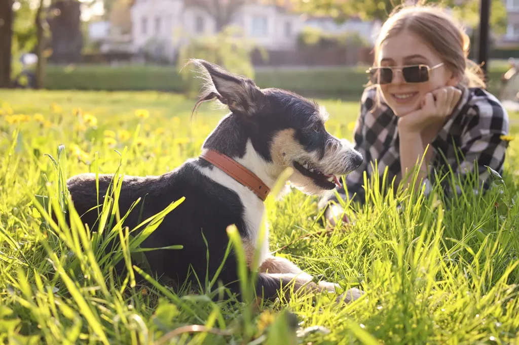 Aire libre y mascotas: claves para cuidar seguridad, salud y vínculo con los perros y gatos