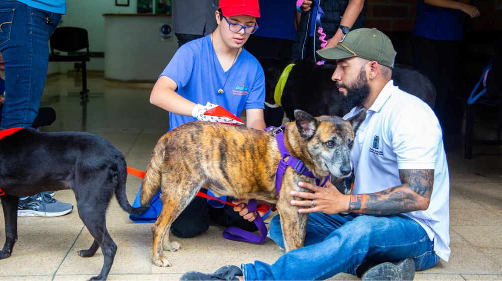 Adoptar en La Perla para Revista Lazoos