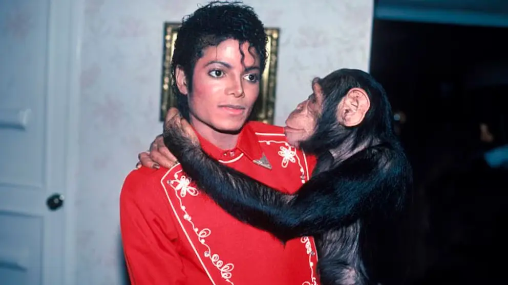 Bubbles, el chimpancé de Michael Jackson: una historia que transformó la conversación sobre bienestar animal