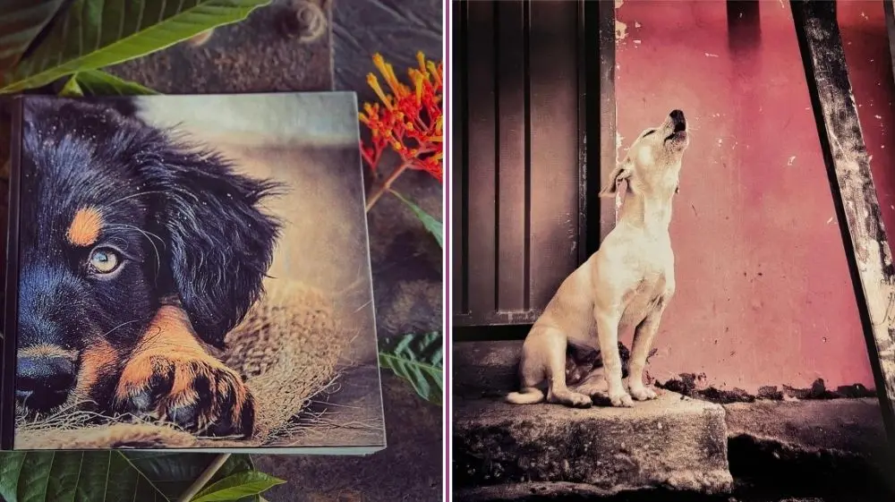 Retratar el abandono… sin borrar la esperanza