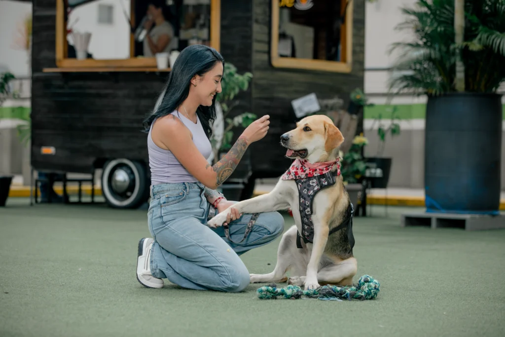 Moli, la perrita que conquistó Los Molinos
