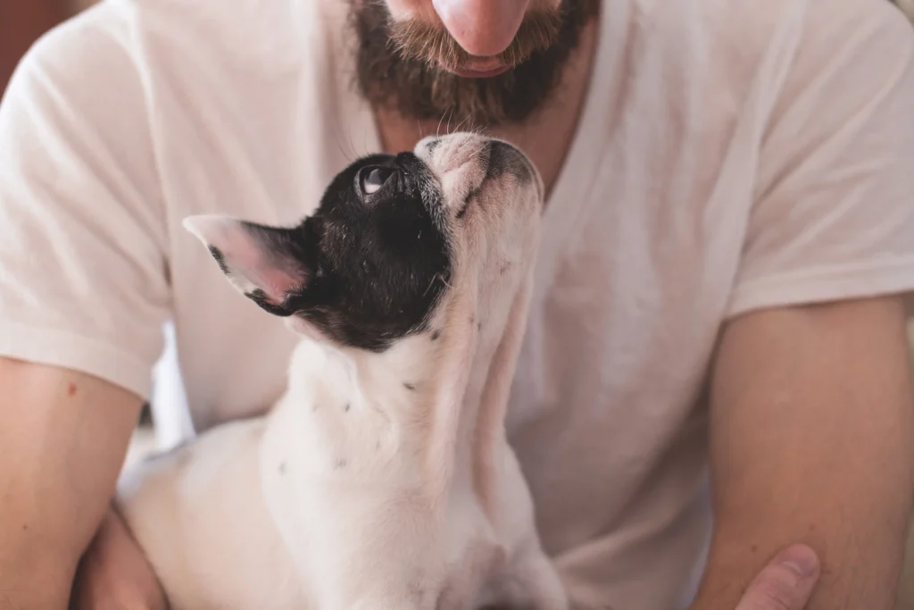 Itagüí se prepara para Xpo Mascotas 2026: adopción, vacunación gratuita y un fin de semana para celebrar el amor animal