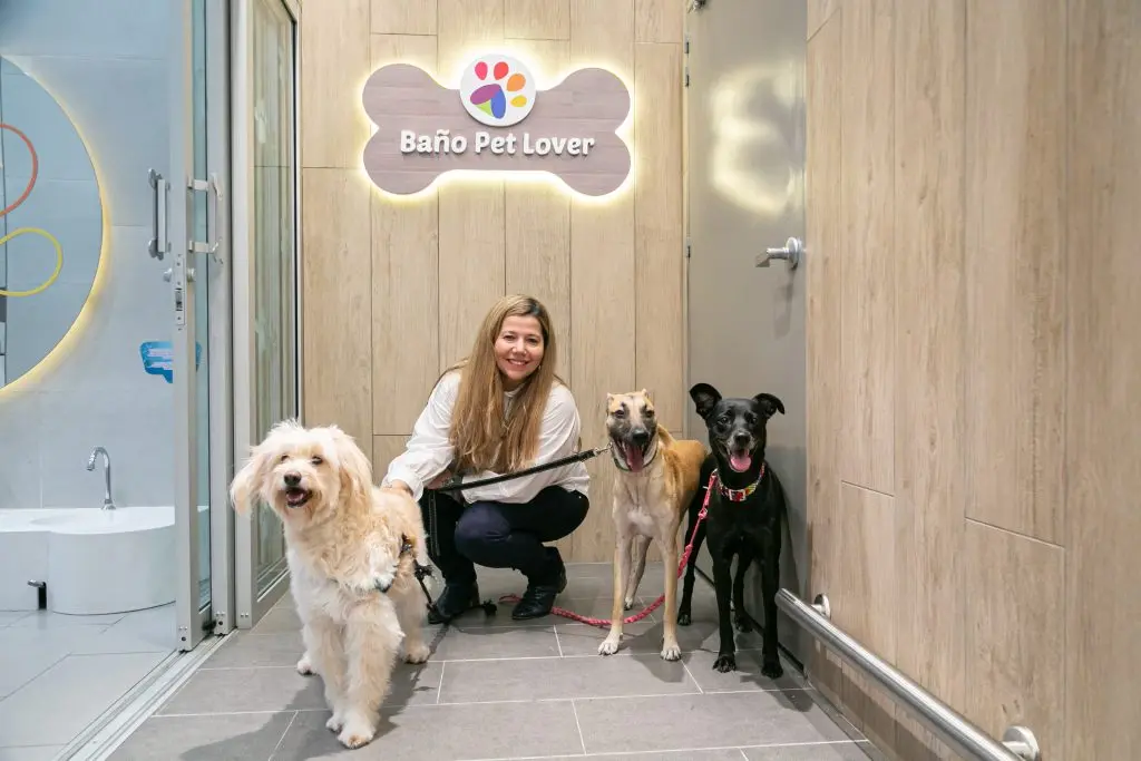 El primer baño para mascotas en un centro comercial está en Santafé Medellín: así funciona este espacio pet friendly