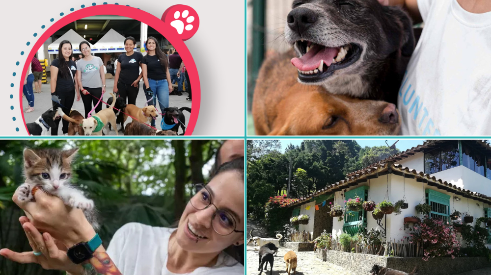 La adopcion un segunda oportunidad