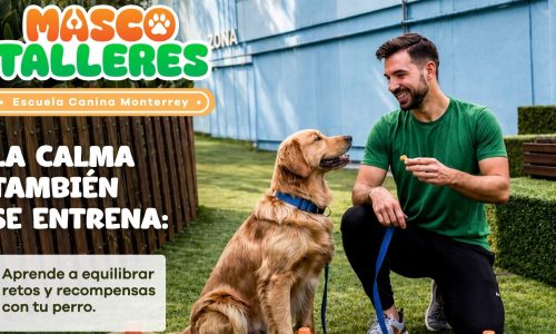 0626-mascotalleres-evento-centro-comercial-monterrey