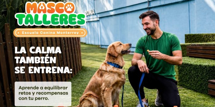 0626-mascotalleres-evento-centro-comercial-monterrey
