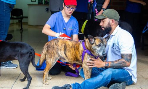 Adoptar en La Perla para Revista Lazoos