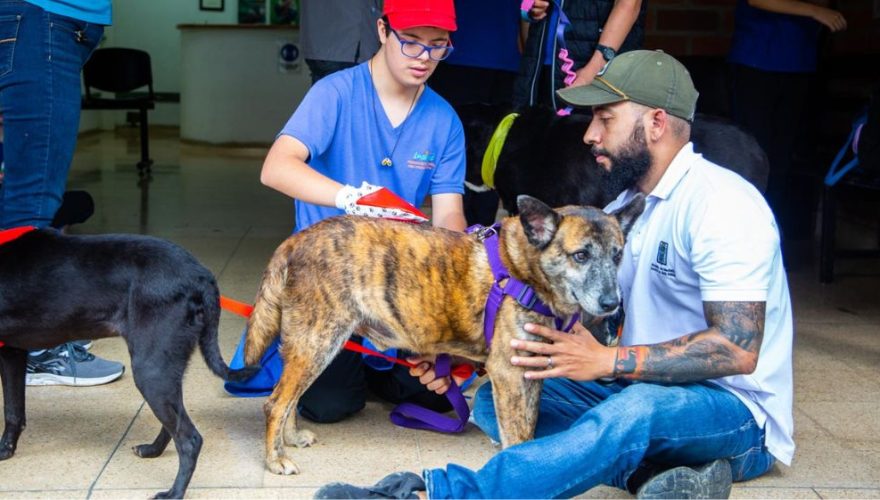 Adoptar en La Perla para Revista Lazoos