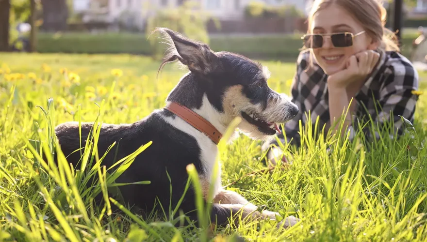 Aire libre y mascotas: claves para cuidar seguridad, salud y vínculo con los perros y gatos