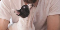 Itagüí se prepara para Xpo Mascotas 2026: adopción, vacunación gratuita y un fin de semana para celebrar el amor animal