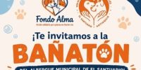 Bañatón