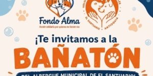 Bañatón