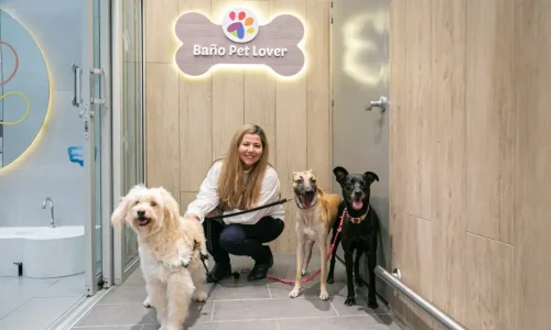 El primer baño para mascotas en un centro comercial está en Santafé Medellín: así funciona este espacio pet friendly