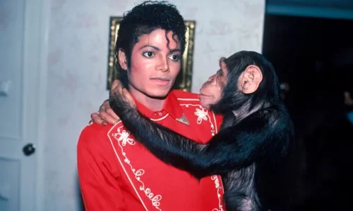 Bubbles, el chimpancé de Michael Jackson: una historia que transformó la conversación sobre bienestar animal