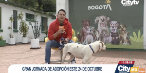 Captura de pantalla 2026-10-21 a las 9.58.02