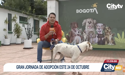 Captura de pantalla 2026-10-21 a las 9.58.02