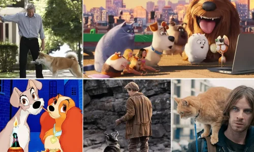 Clásicos del cine para los dueños de mascotas
