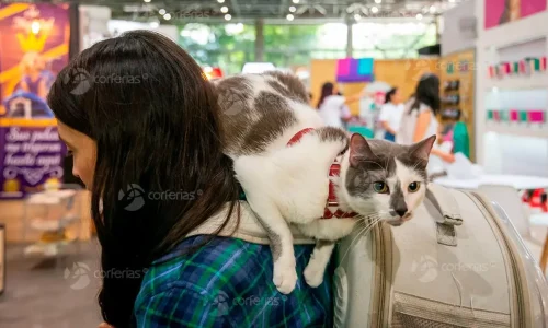 Expopet Medellín 2026