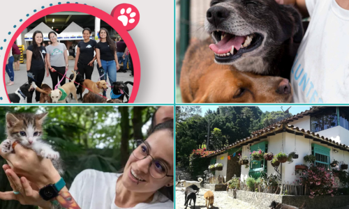 La adopcion un segunda oportunidad