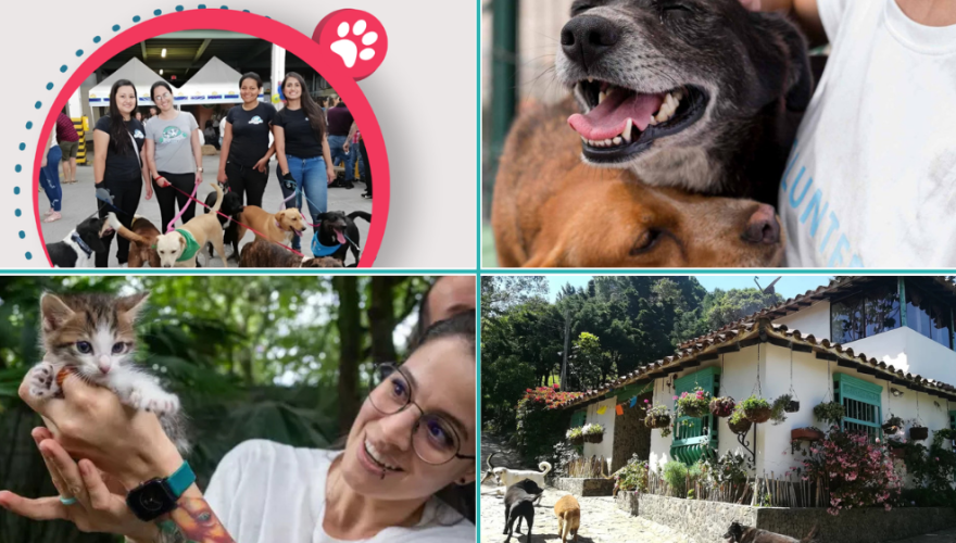 La adopcion un segunda oportunidad La adopcion un segunda oportunidad