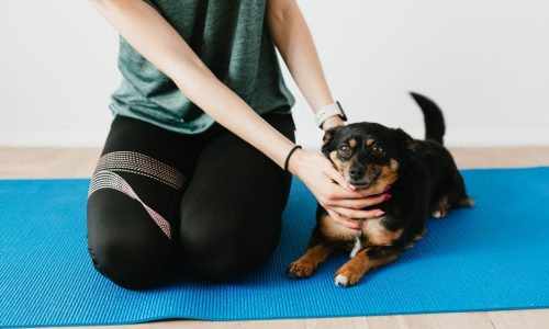 Mascotas y deportes en Expofitness