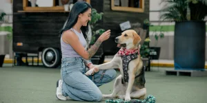 Moli, la perrita que conquistó Los Molinos