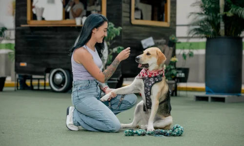 Moli, la perrita que conquistó Los Molinos