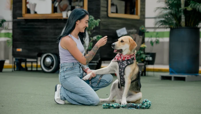 Moli, la perrita que conquistó Los Molinos