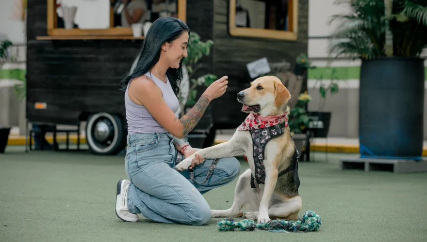 Moli, la perrita que conquistó Los Molinos
