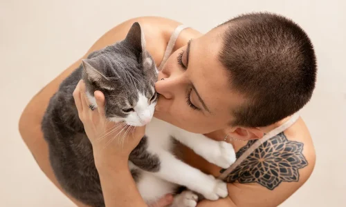 Perros y gatos sienten, en realidad, amor por sus amos