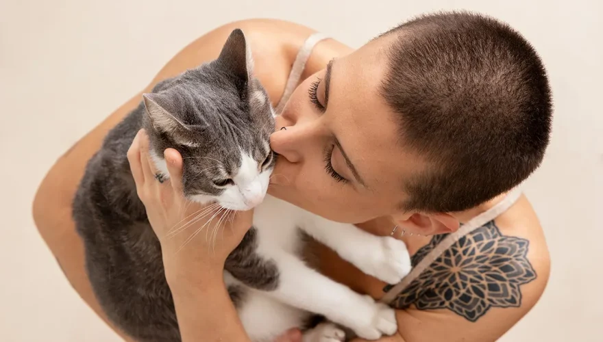 Perros y gatos sienten, en realidad, amor por sus amos