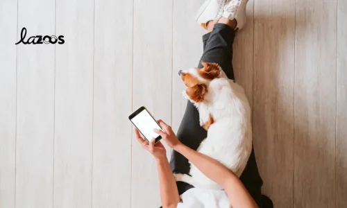 Top 7 de los pet influencers y cuentas pet friendly de Medellín que debes conocer