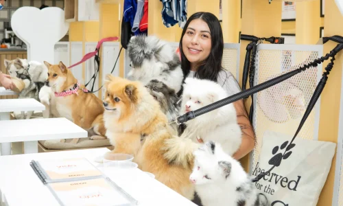 Vida Pet el paraíso del paladar perruno