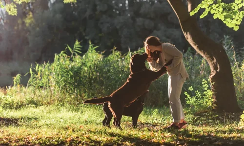 Vínculo humano-animal, qué dice la ciencia al respecto