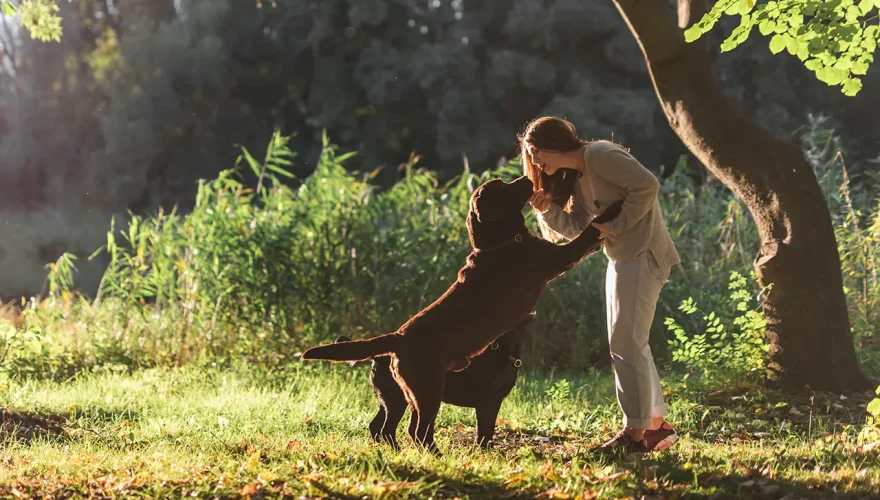 Vínculo humano-animal, qué dice la ciencia al respecto