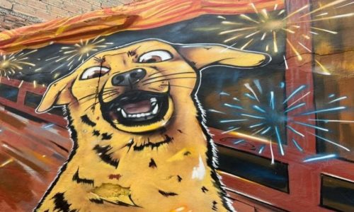 animalarte-creatividad-animalista-6-y-13-de-junio-de-2026