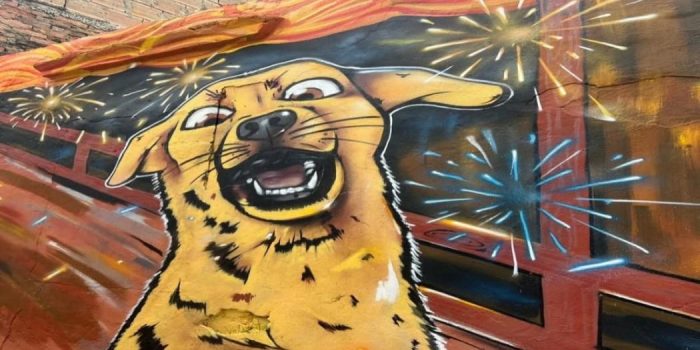 animalarte-creatividad-animalista-6-y-13-de-junio-de-2026