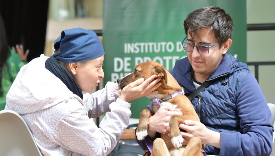 Foto: animalesbog.gov.co