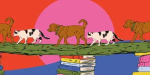 cb7d12b0-b695-11f1-bece-a90b7dbb439b-COM-PE-PG-CUENTO-BANNER-2
