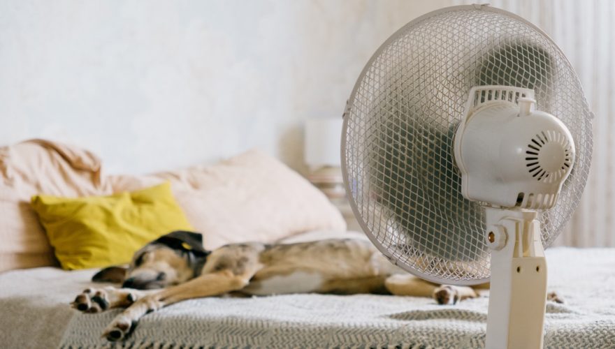 Foto: Envato