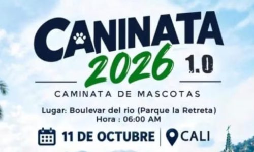 encabezado