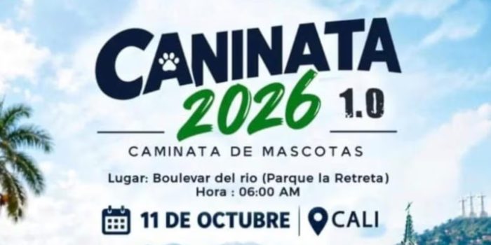 encabezado