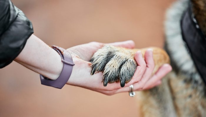 Foto: Envato