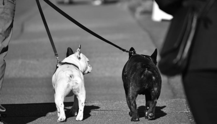 Foto: Pexels (WR Heustis)